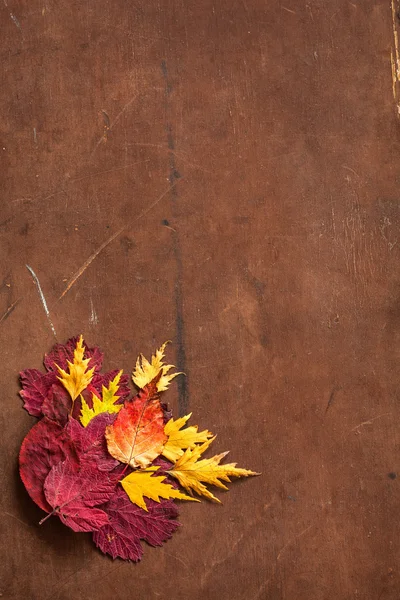 Hojas coloridas de otoño sobre fondo rústico oscuro — Foto de Stock