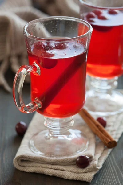Hot cranberry tea with cinnamon warming drink — Stock Photo, Image
