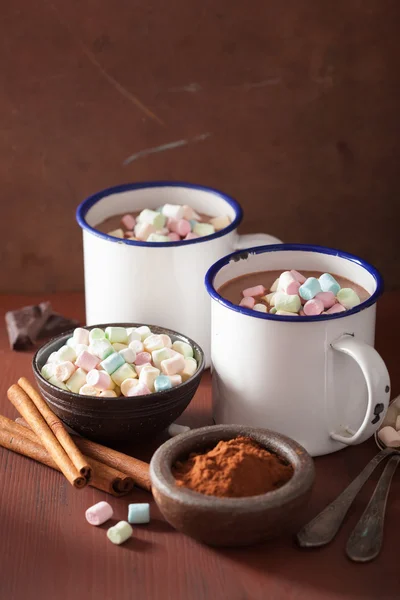 Chocolate quente com mini marshmallows canela bebida de inverno — Fotografia de Stock