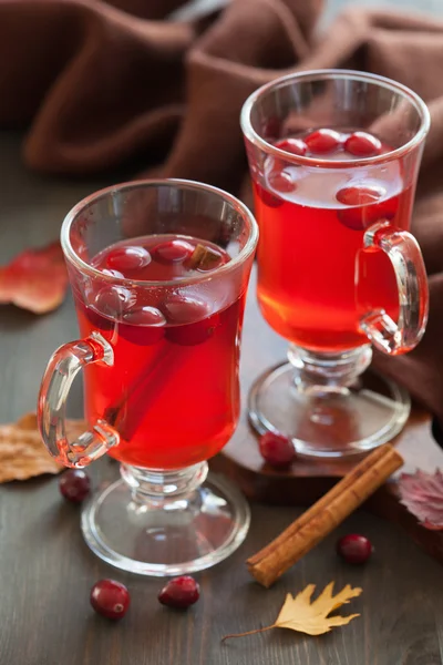 Ζεστό cranberry τσάι με κανέλα, θερμαίνοντας το ποτό — Φωτογραφία Αρχείου
