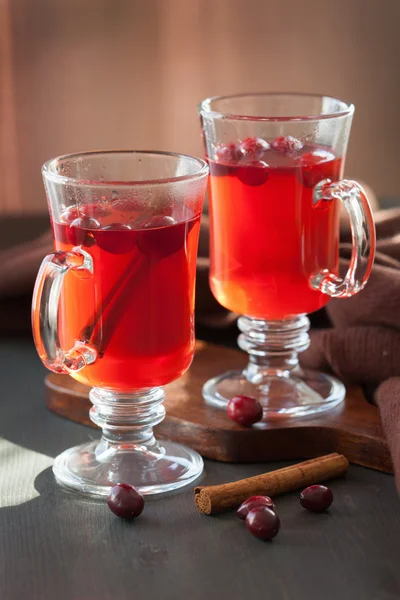 Hete cranberry thee met kaneel opwarming van de aarde drankje — Stockfoto