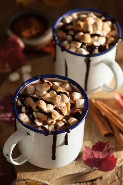 S'mores hot chocolate mini marshmallows cinnamon winter drink — Stock Photo, Image