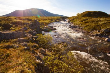 güneşli manzara Norveç dağlar Dovrefjell Nehri