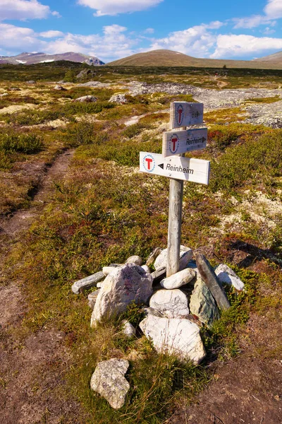 Zonnige landschap Noorwegen bergen Dovrefjell — Stockfoto