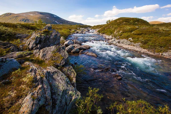 Sunny landscape Norway mountains Dovrefjell river — Stock Photo, Image