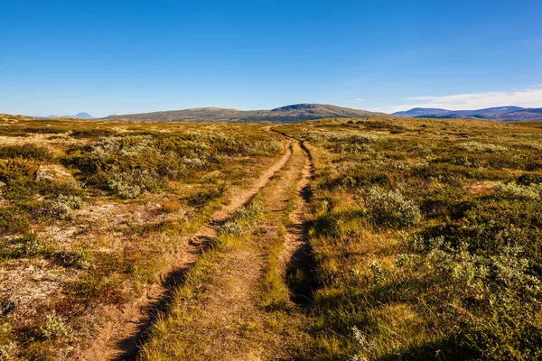 Paesaggio soleggiato Norvegia montagne Dovrefjell — Foto Stock