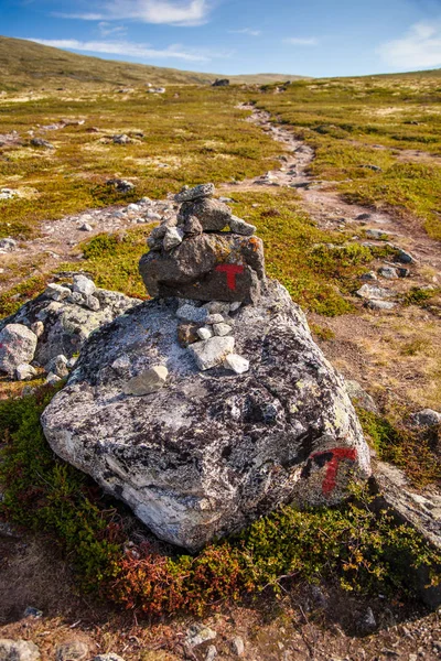 T teken turistforening berglandschap Noorwegen nationaal park doen — Stockfoto