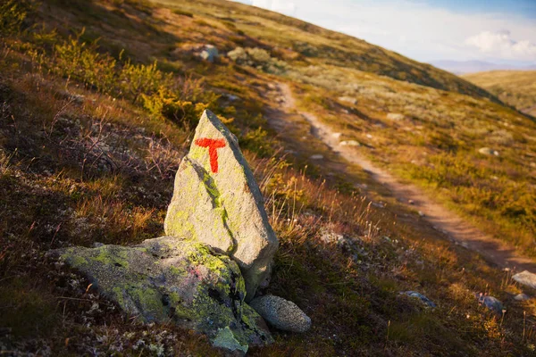 T teken turistforening berglandschap Noorwegen nationaal park doen — Stockfoto