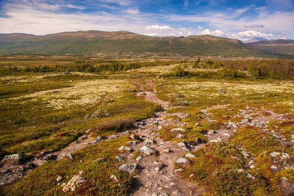 Paisaje de montaña Parque nacional de Noruega Dovre — Foto de Stock