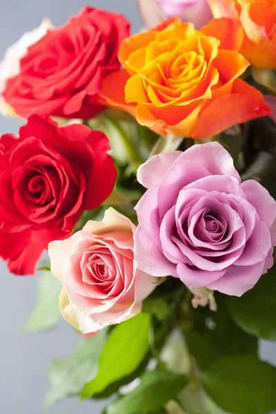 Beautiful colorful rose flowers bouquet — Stock Photo, Image