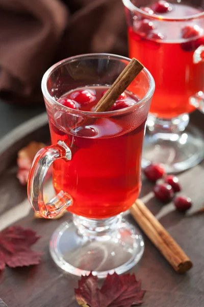 Hot cranberry tea with cinnamon warming drink — Stock Photo, Image