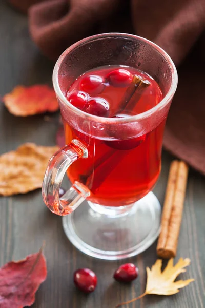 Hot cranberry tea with cinnamon warming drink — Stock Photo, Image