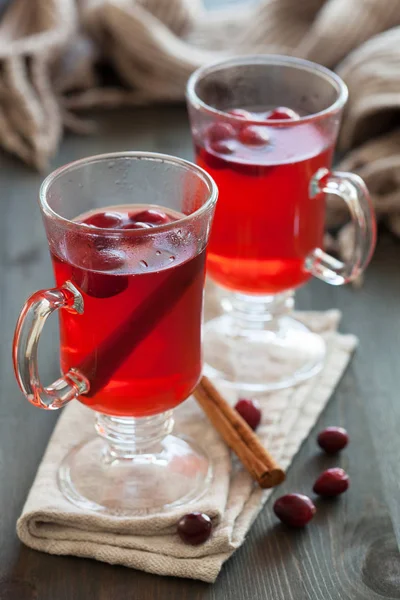 Chá de cranberry quente com canela bebida de aquecimento — Fotografia de Stock