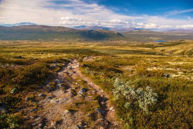 dağ manzarası Norveç Milli Parkı Dovre