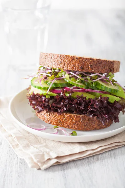 Avocado komkommer sandwich met ui en radijs spruiten — Stockfoto