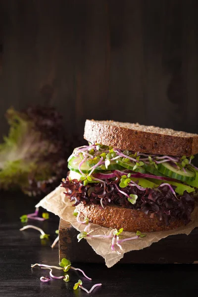 Avocado komkommer sandwich met ui en radijs spruiten — Stockfoto