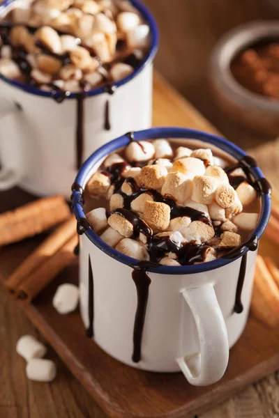 S'mores varm choklad mini marshmallows kanel vintern dryck — Stockfoto