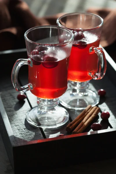 Hot cranberry tea with cinnamon warming drink — Stock Photo, Image