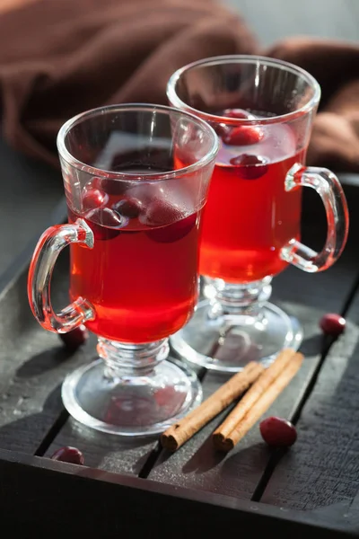 Hot cranberry tea with cinnamon warming drink — Stock Photo, Image