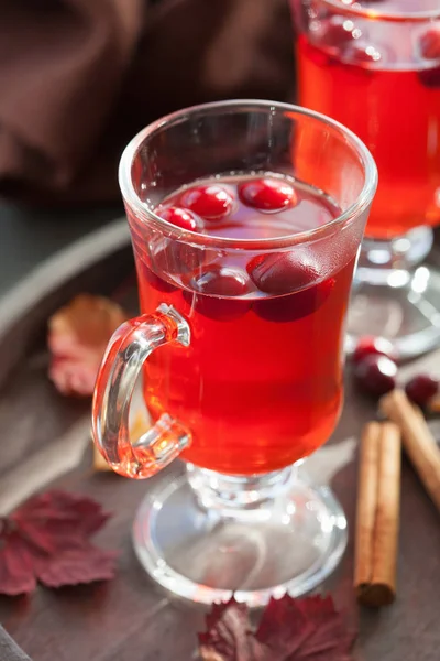 Horký čaj Brusinka se skořicí oteplování nápoj — Stock fotografie