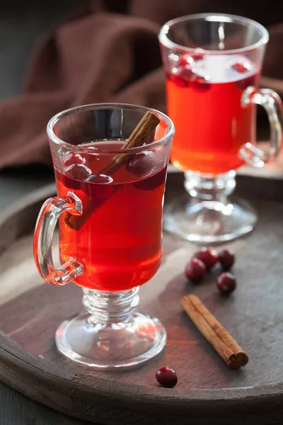 Horký čaj Brusinka se skořicí oteplování nápoj — Stock fotografie