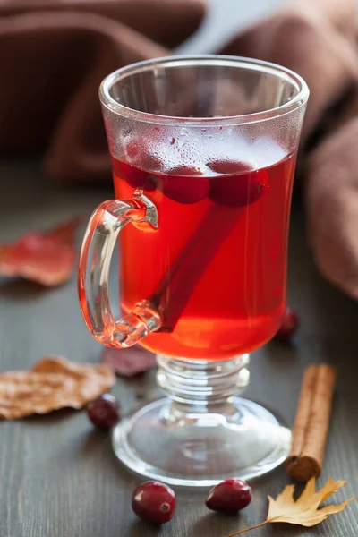 Ζεστό cranberry τσάι με κανέλα, θερμαίνοντας το ποτό — Φωτογραφία Αρχείου