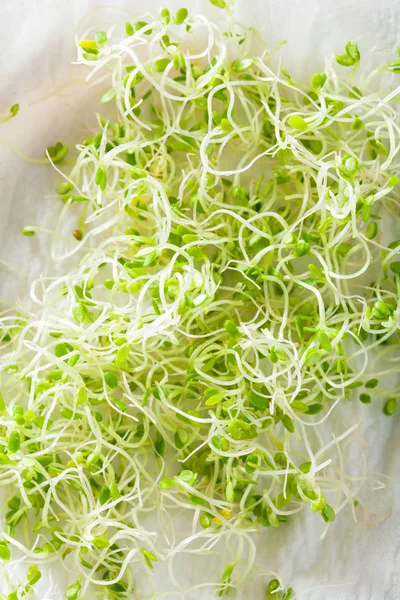 Fresh clover sprouts healthy food — Stock Photo, Image