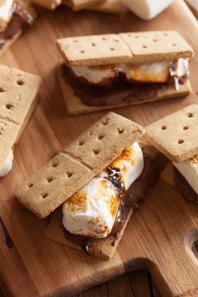 Zelfgemaakte marshmallow s'mores met chocolade op crackers — Stockfoto