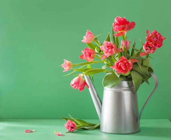 水まき缶で美しいピンクのチューリップの花の花束 — ストック写真
