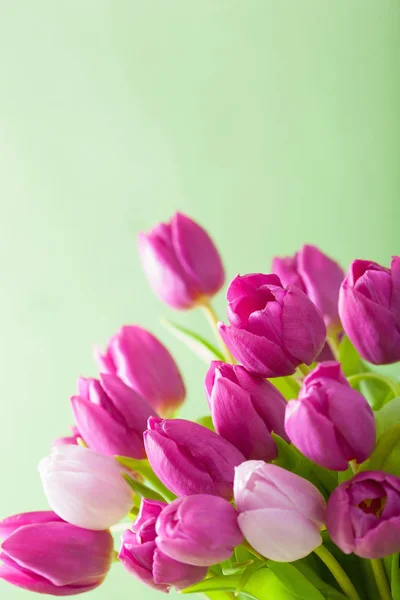 Schöne lila Tulpe Blumen Hintergrund Stockbild