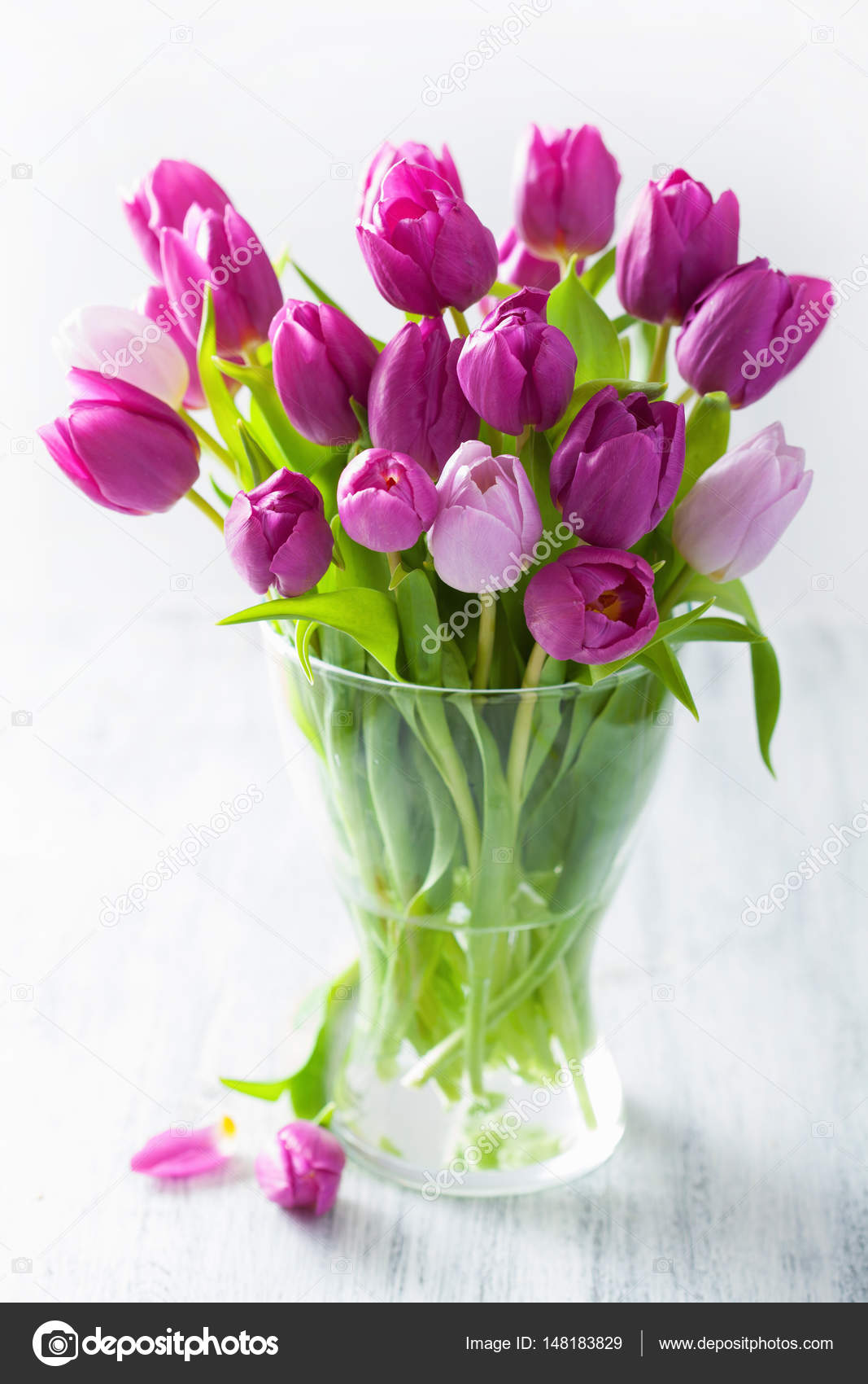 美しい紫のチューリップの花瓶の花束の花 ストック写真 C Duskbabe