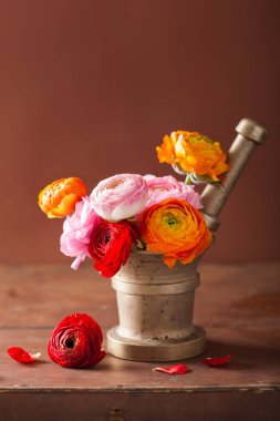 Vazoda Çiçekler güzel Düğünçiçeği