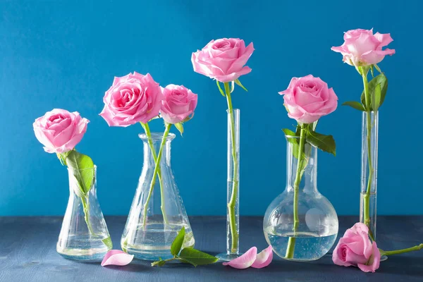 Rosa flores en frascos químicos sobre azul — Foto de Stock