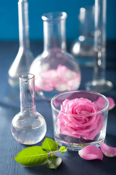 Alchemy and aromatherapy set with rose flowers and chemical flas — Stock Photo, Image