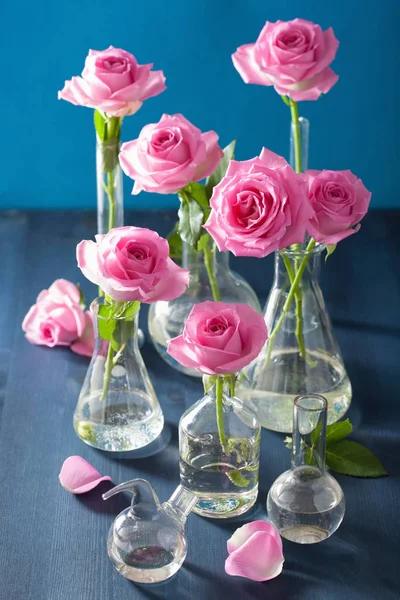 Pink rose flowers in chemical flasks over blue — Stock Photo, Image