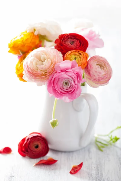 Hermoso ranúnculo flores en jarrón sobre blanco — Foto de Stock