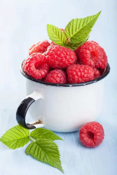 Raspberry segar dalam cangkir enamel dengan latar belakang biru — Stok Foto