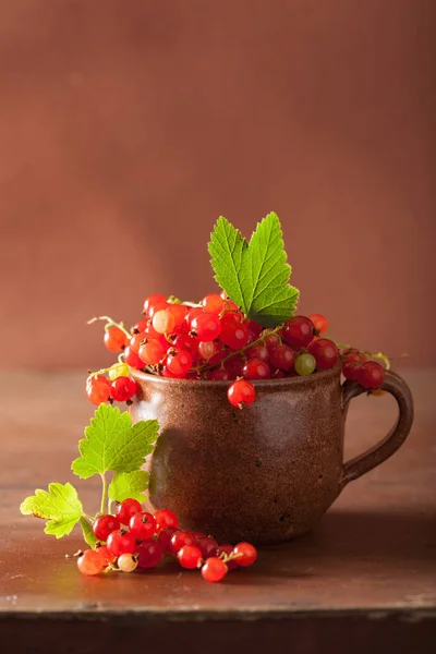 Fresh redcurrant in cup over rustic wooden background — Stock Photo, Image