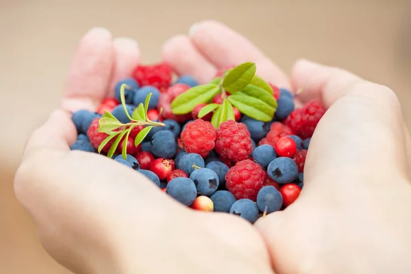 Руки со свежими ягодами — стоковое фото