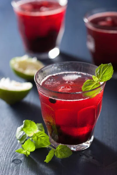 Refreshing blueberry drink with lime and mint — Stock Photo, Image