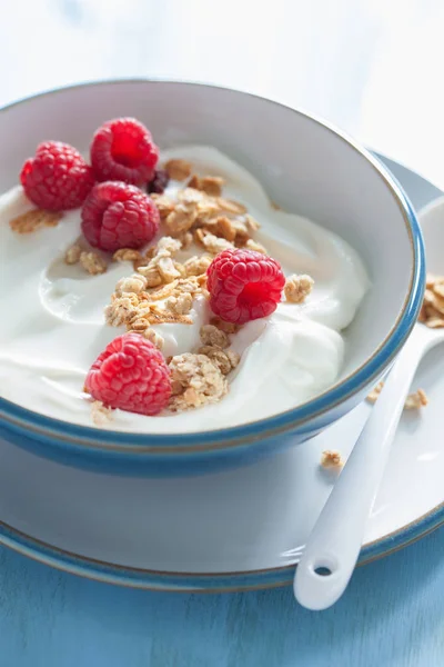 Iogurte com granola e framboesa para café da manhã saudável — Fotografia de Stock