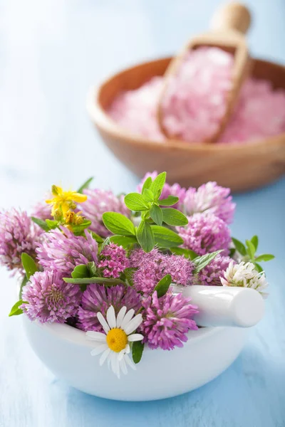 Colorful medical flowers and herbs in mortar and pink salt — Stock Photo, Image