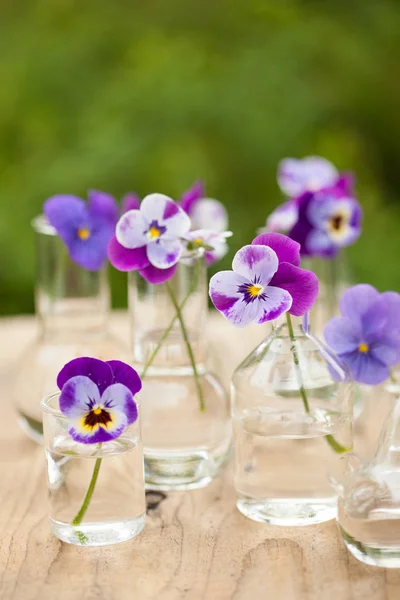 Flores pantanosas em copos químicos, decoração de mesa no jardim — Fotografia de Stock