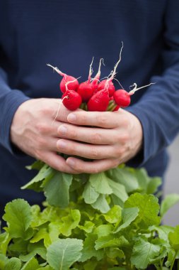 adam bahçıvan malzeme çekme turp sebze Konteyner Bahçe b