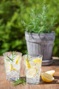 serinletici limonata içecek gözlük rosemary ile