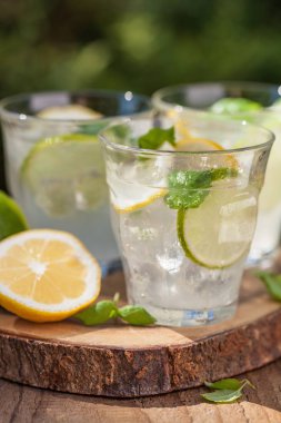 Nane limon limon bahçesinde ferahlatıcı limonata içmek