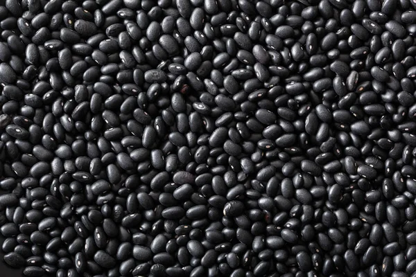 Latar belakang legumes penyu hitam — Stok Foto