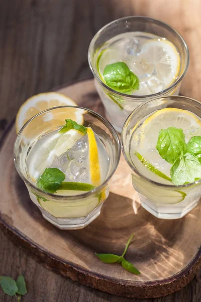 Refreshing lemonade drink with mint lime lemon in garden — Stock Photo, Image