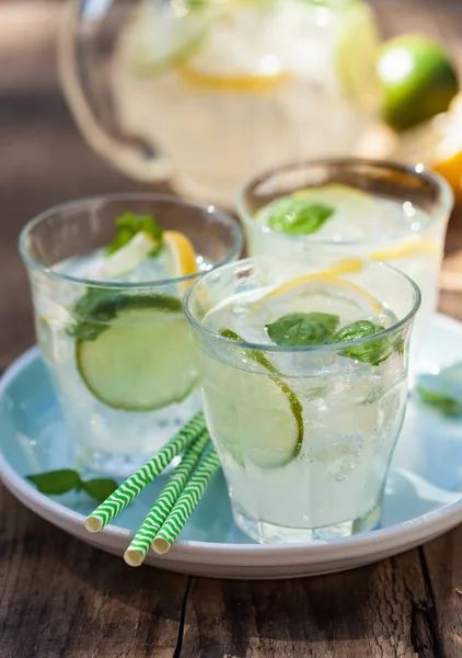 Refreshing lemonade drink with mint lime lemon in garden — Stock Photo, Image