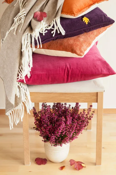 Colorful cushions throw cozy home autumn mood flower leaf — Stock Photo, Image